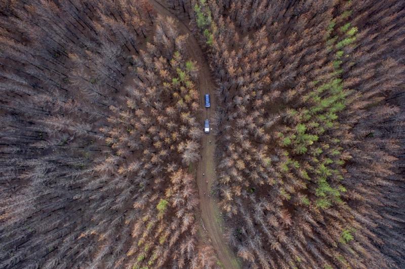 Vista aérea de un área forestal destruida por un gran incendio a unos 350 kilómetros al sur de Santiago, el 23 de junio de 2017. Martin BERNETTI / AFP